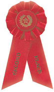 1st place ribbon
