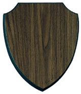 wooden shield