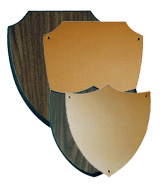 shield multiple